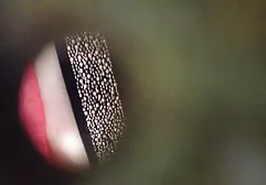 گره خوردن دانلود بازی سکسی برا اندروید آن چربی چربی