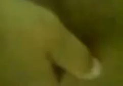 مجموعه زنان خانه دار لاتین اندروید بازی سکسی